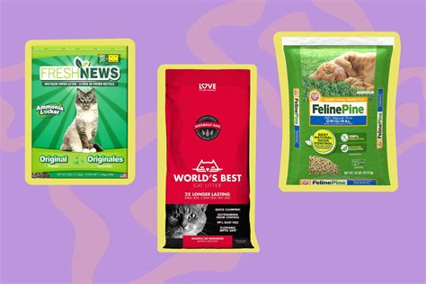 best natural cat litters|The 7 Best Eco.